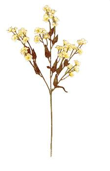 Double Ruffle Baby's Breath